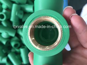 Customized Request PPR Fittings and PPR Ball Valve Complete Size from 20mm to 160mm