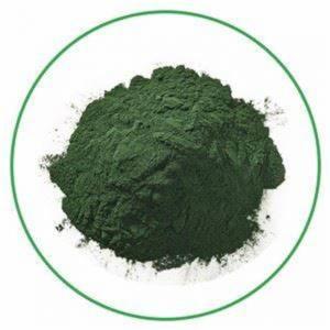 Quality Zorui CAS 1406-65-1 Natural Ingredient Chlorophyll Powder For Health Care for sale