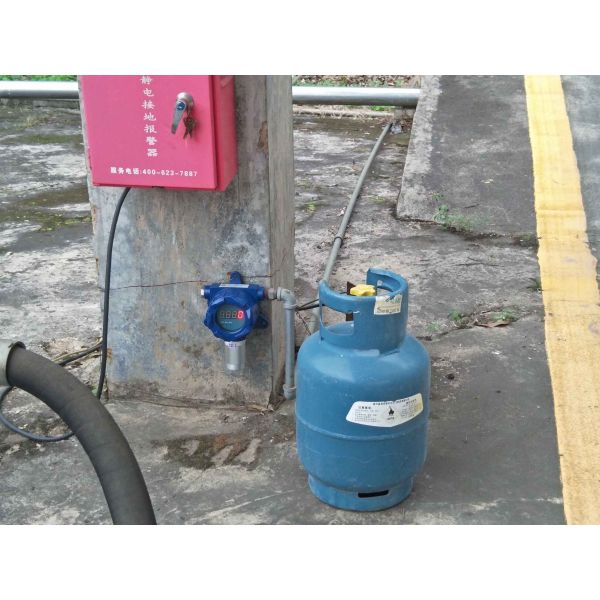 Blue Color Portable Gas Detector Bromomethane CH3Br Detected Fast Response