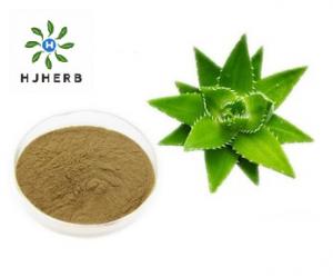 China Food Grade Aloe Vera Extract Powder Herb Extract Powder on sale