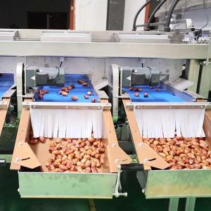 Quality Advanced Sorting Precision 2.0 Tons Capacity 8-Lane Palm Dates Sorting Machine with CE MD ISO9001 Certificates for sale