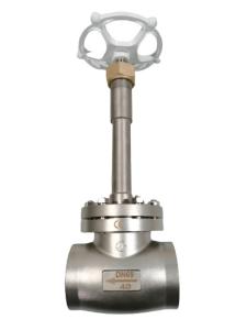 Quality Manual DN65 Low Temperature Socket Weld Globe Valve For LN2 for sale