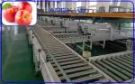 Stainless Steel Apple Sorting Machine PLC Control With 10 Channels