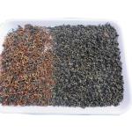 WENYAO Linear CCD Image Sensor Tea Color Sorter High Resolution