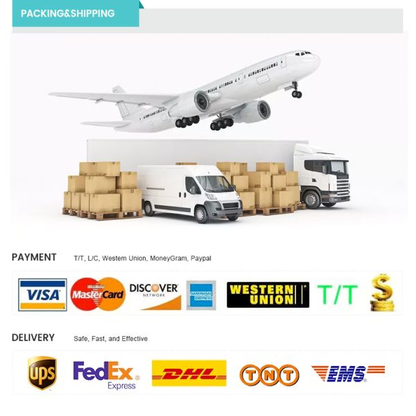 Custom Size Accepted Folders Box Eco-Friendly Personalised Large Paper Mailer with Logo