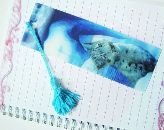 PLASTIC LENTICULAR 3D changing flip zoom morph move animation combination effect lenticular bookmark printing service