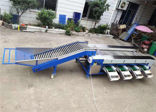 potato grading machine, potato sorting machine, potato sorter, potato grader