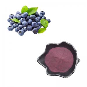 China Pure Natural Fruit Powder Blueberry Powder Extract Anthocyanin Bilberry Extract Powder on sale