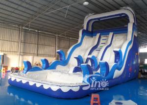 China Double Lanes Inflatable dolphin Water Slides with pool EN14960 For Adults and kids on sale