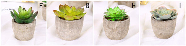 Mini Succulent Artificial Potted Plants Strange Shape Green Platsic Material