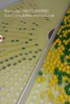 Professional Paintball Encapsulation Machine with Large capacity