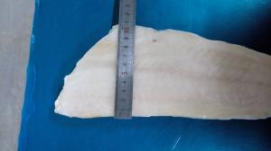 China Frozen Haddock fillets skinless PBO on sale