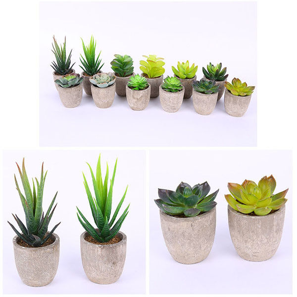 Mini Succulent Artificial Potted Plants Strange Shape Green Platsic Material