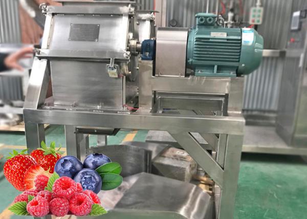 Buy High Output Berry Processing Equipment 20 T / Day To 1500 T / Day Turnkey Solution at wholesale prices