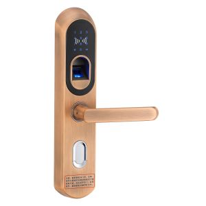 Outdoor Keyless Biometric Fingerprint Door Locks With Deadbolt