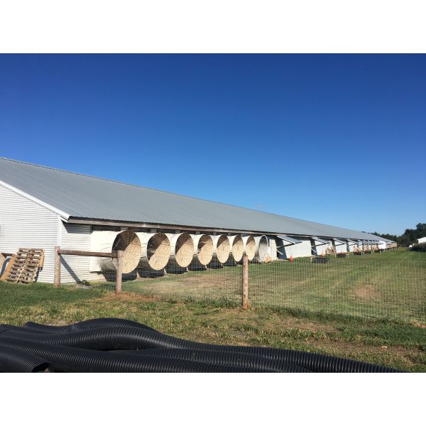 Painted Chicken Steel Structure Poultry House ASTM DIN GB JIS Standard