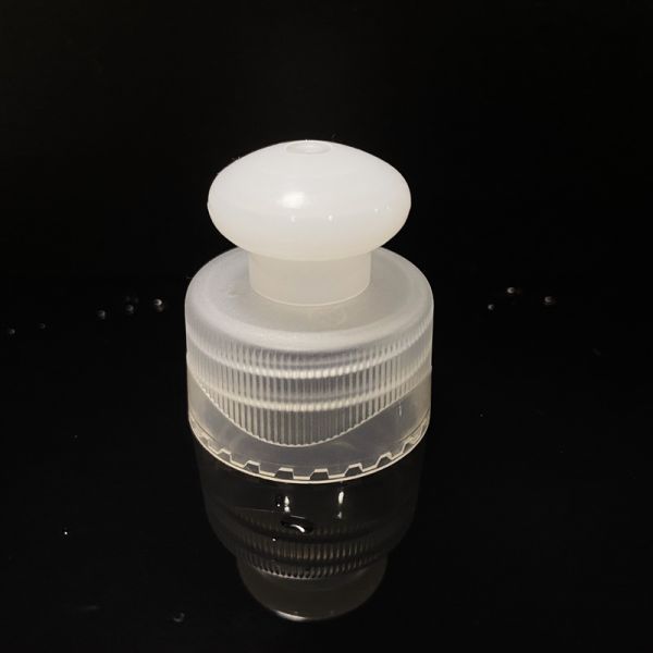 Plastic Water Bottle Cap with Pull and Push Design 20mm 24mm 28mm Samples US 0.01/Piece