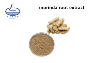 Wholesale High Quality Morinda Officinalis Extract Powder