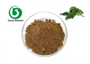 Quality Food Grade Natural Walnut Leaf Extract Powder Antibacterial for sale