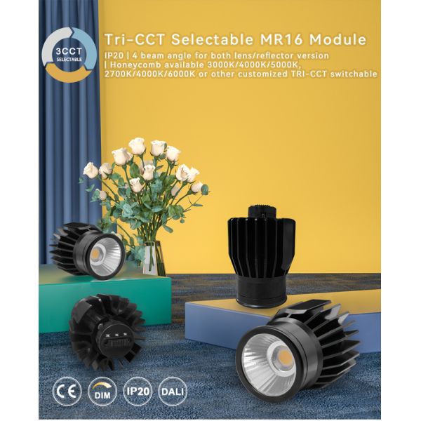 Customizable 15W COB LED MR16 Module With Tri-CCT Options 3000K/4000K/5000K Or 2700K/4000K/6000K