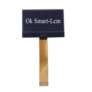 COG Dot Matrix LCD Display 12864 Lcd Screen Low Power Consumption