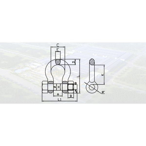 SLR362-BOLT TYPE DEE BOW SHACKLE
