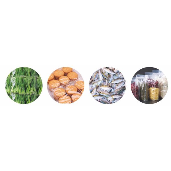 100P/M Checkweigher Scale