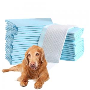 Quality Small Animals Protection Odor Eliminating Scented Pet Training Urine Absorbent Pad for sale