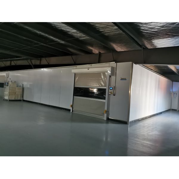 Q355 Q235 Prefab Steel Structure Workshop for Industrial Buildings