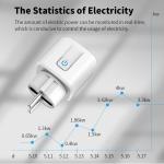 Tuya Wifi Smart Socket Plug With Countdown / Timing Function