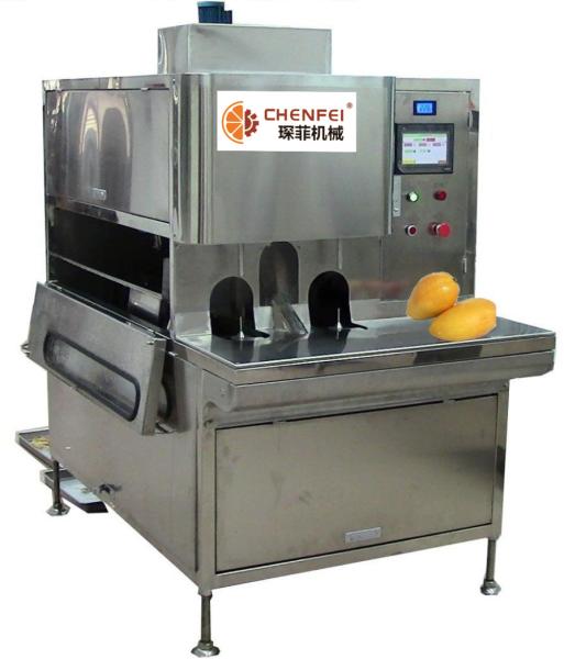 Buy Compact Structure Mango Processing Line Paste Processing Line 5 Tons Per Day at wholesale prices