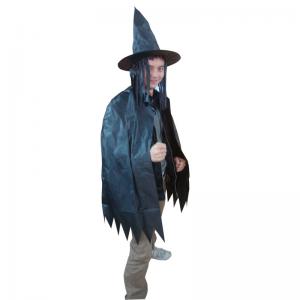 China PVC halloween costumes with hat on sale
