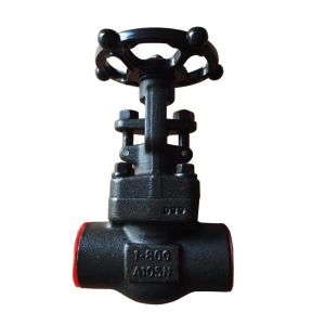 Quality pressure 800LB ANSI standard forged globe valve for sale
