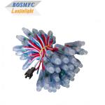 IP68 Waterproof WS2811 LED Pixel Module String Light Digital LED Pixel DC5V