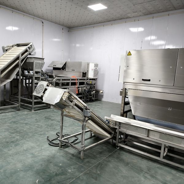 KMS-1000 Optical Separators Intelligent Glass Sorting Machine