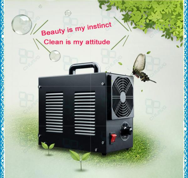 Portable Adjustable Ozone Output Ozone Generator For Hotel Room Removing Odor