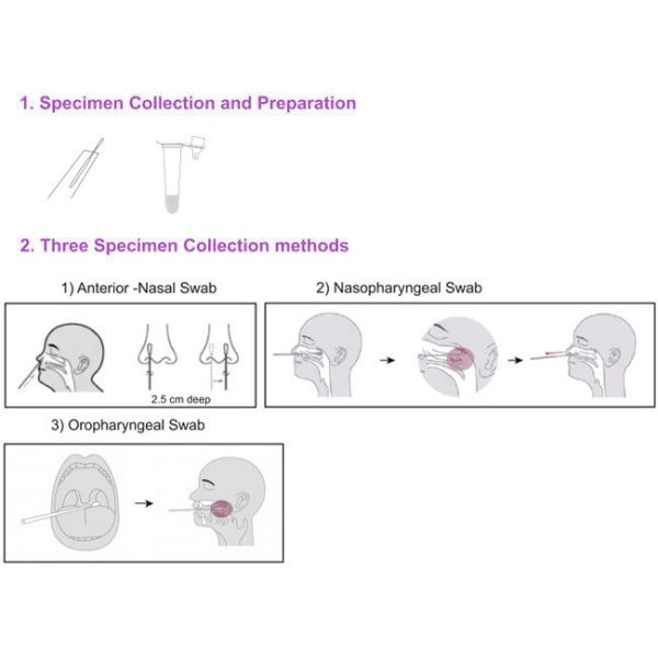 Covid 19 Rtk Ag Self Test Kit 25 Tests/Kit Results In 15 Min