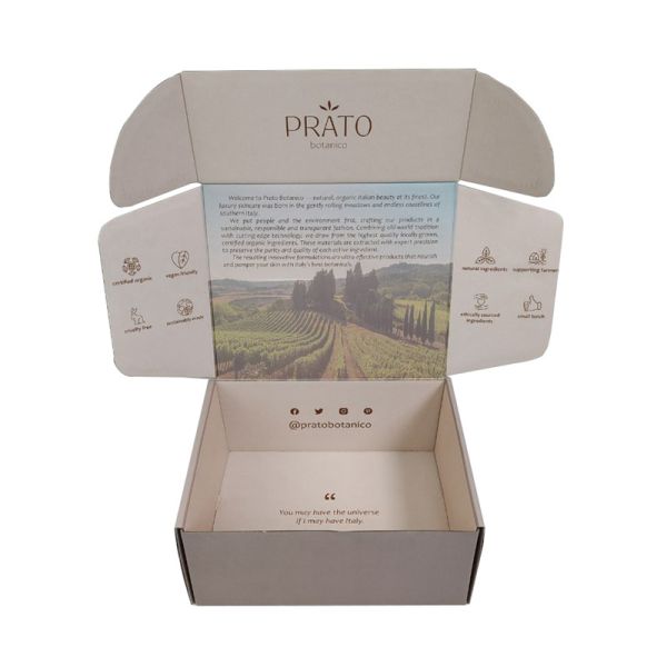 Custom Size Color Printing Mailer Box Corrugated Shipping Carton for Packing Items