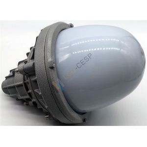 CREE Chip 220V 60Hz 30W Explosion Proof Led Flood Light