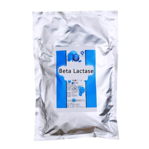 Buy Customized Beta Lactase Low Sensitivity Milk Processing White Powder Like at wholesale prices