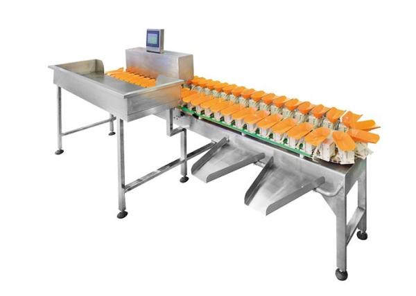 Buy Conveyor Belt Weight Sorting Machine Chicken Wing Fish Grader Circular Multi Weight Sorting Machine With Conveyor Belt at wholesale prices