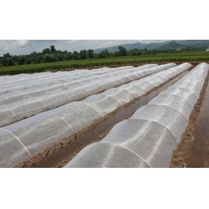 Anti Fungus Agriculture Insect Net UV Resistant HDPE 5000S