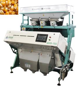 Quality 2T/H-4T/H Seed Corn Sorting Machine Easy Operate Colour Separation Machine for sale