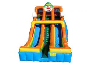 China Customized Size Large Inflatable Slide With Coloful Shape For Backyard on sale