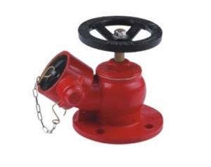 Quality fire hydrant valve for sale
