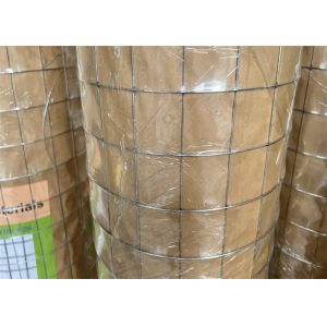 Quality 2"X2" Galvanized Welded Wire Mesh 25m Roll for sale