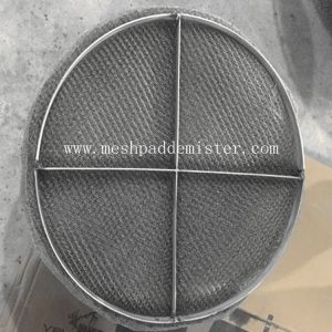 Quality Distillation Tower Ss431 Scrubber Mist Eliminator 500mm for sale