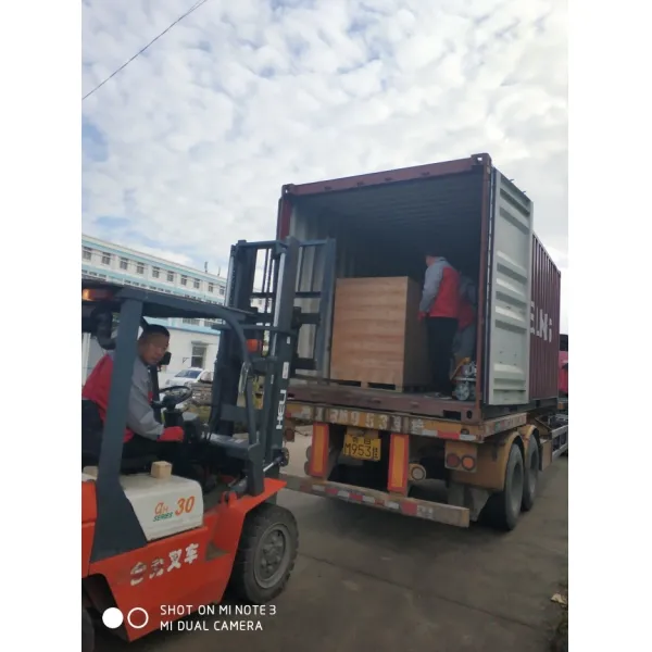 Open Folding Automatic Carton Erector Machine 15 Times/Min