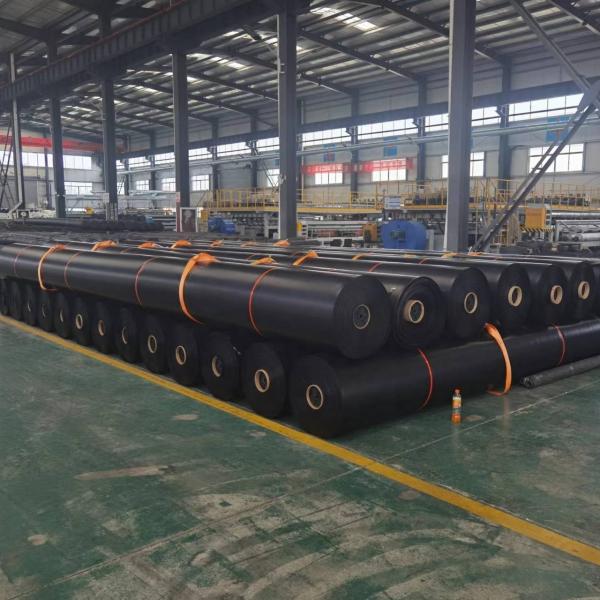 Buy Smooth Pond Liner HDPE Geomembrane 1mm for Fish Farming in Environmental Applications at wholesale prices