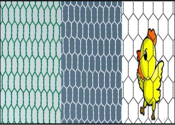 Buy Rust Resistant BWG16 100m Hexagonal Wire Netting at wholesale prices
